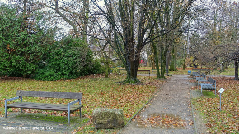 Gehmeditation im Botanischen Garten