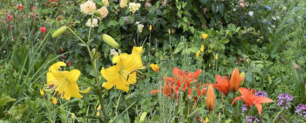 We are all flowers in the garden of humanity